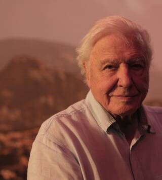 Los últimos dinosaurios con David Attenborough