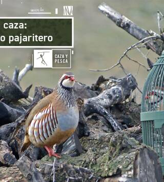 De caza: bautismo pajaritero