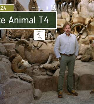 Arte Animal