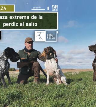 Caza extrema de la perdiz al salto