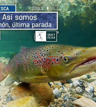  Episodio 7: Salmón, última parada