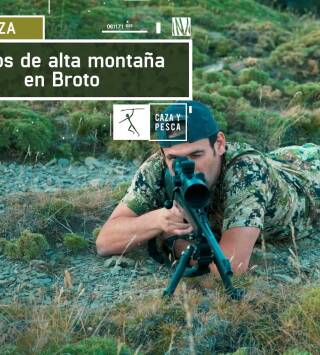 Corzos de alta montaña en Broto