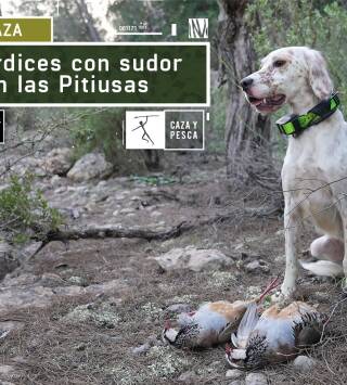 Perdices con sudor en Las Pitiusas