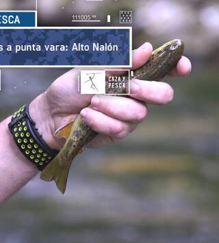 Asturias a punta vara: Alto Nalón