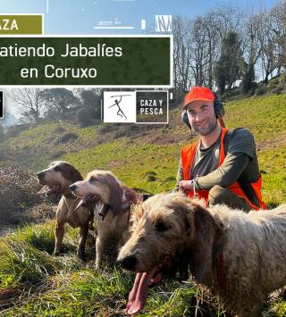 Batiendo jabalies en Coruxo