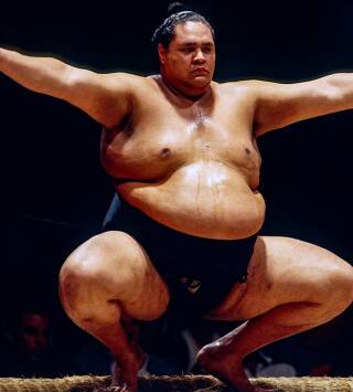 Gigantes del sumo 