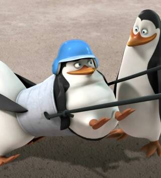 Los pingüinos de... (T1): El Pequeño Coupé Del Zoo; Un Mal Trago