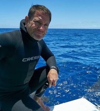Shark with Steve...: Tiburones del Océano Pacífico