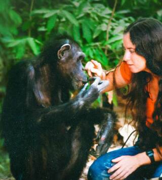 Lucy, el chimpancé humano