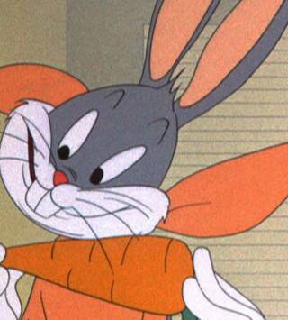 Looney Tunes... (T1): Sam  el Siberiano / Gag del agujero: Agujero en movimiento / Esquile y desista /Gag de la bandera...