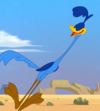 Looney Tunes... (T3): ¡Feliz cumpleaños! / El vidente Lucas: Un nuevo amor / Saltos y caídas