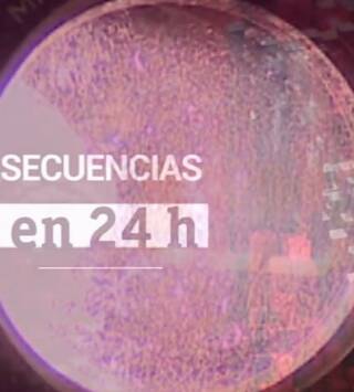 Secuencias en 24 horas