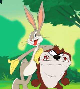 Looney Tunes Cartoons
