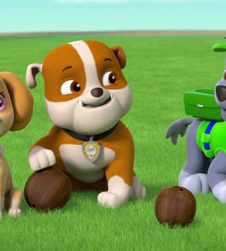 La patrulla canina Single Story
