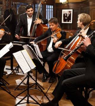 Un tributo a Viena