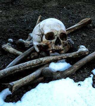Arqueología en el hielo: La venganza del asesino zombi