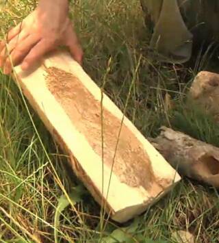  Episodio 8: Boscos d'Avets (Vall d'Aran)