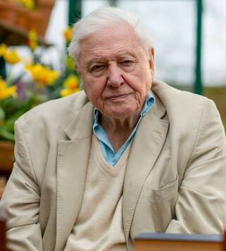Maravillas sonoras con David Attenborough