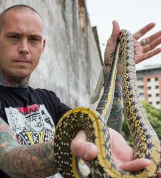 Serpientes en la ciudad: Krait mortal