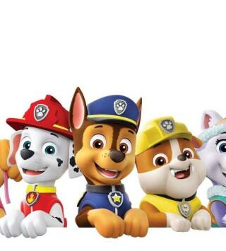 La patrulla canina Single Story