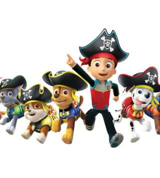 La patrulla canina Single Story