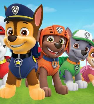La patrulla canina Single Story