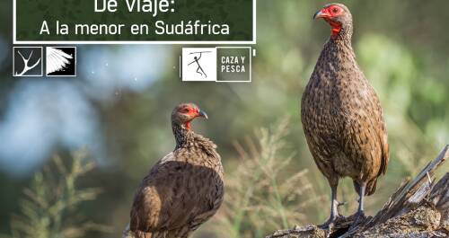 De viaje: a la menor en Sudáfrica
