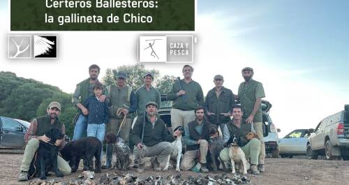 Certeros Ballesteros: La gallineta de Chico