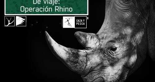 De viaje: Operación rhino