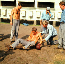 Imagen de La leyenda del indomable - 4