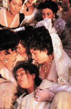 Imagen de Goya en Burdeos - 6