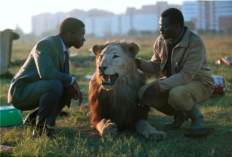 Imagen de El traje - 7