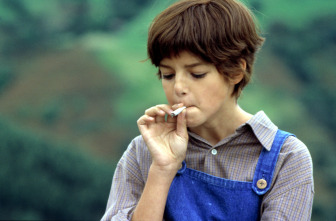 Imagen de El viaje de Carol - 3