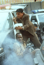 Imagen de Depredador 2 - 7