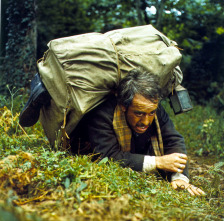 Imagen de El bosque del lobo - 3