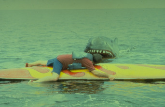 Imagen de Tiburón 2 - 13