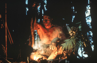 Imagen de Depredador - 7