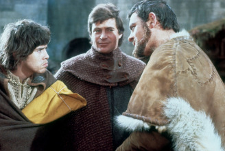 Imagen de El león en invierno - 8