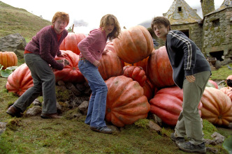 Harry Potter y el prisionero de Azkaban