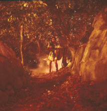 Imagen de Jasón y los argonautas - 4