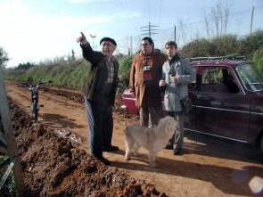 Imagen de Platillos volantes - 13