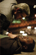 Imagen de Collateral - 9