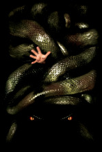 Imagen de Anacondas: La cacería por la orquídea sangrienta - 11