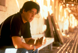 Imagen de Traffic - 3