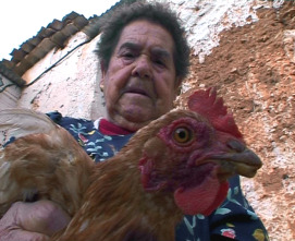 Imagen de Callejeros  - 2