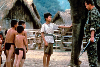 Imagen de Operación elefante - 1