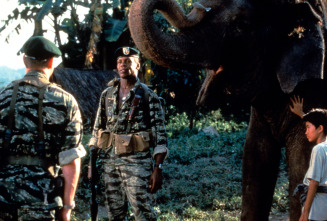 Imagen de Operación elefante - 7