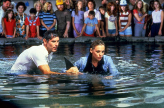 Imagen de Tiburón 3 - 3