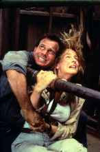 Imagen de Twister - 1
