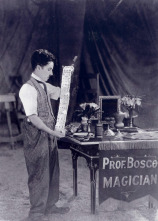 Imagen de El circo - 6